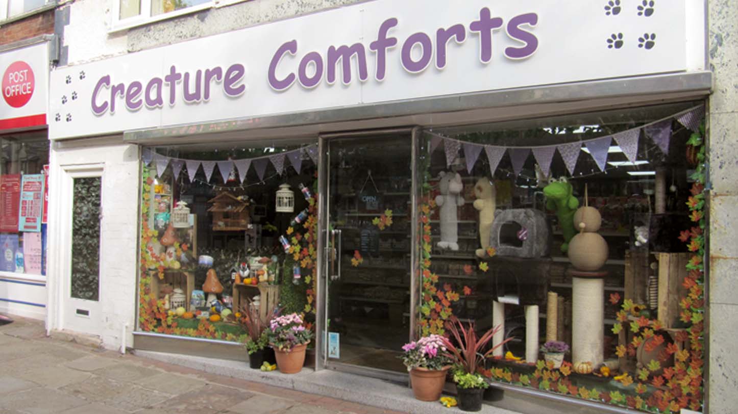 Shop talk: Creature Comforts - An eye for detail | Pet Business World