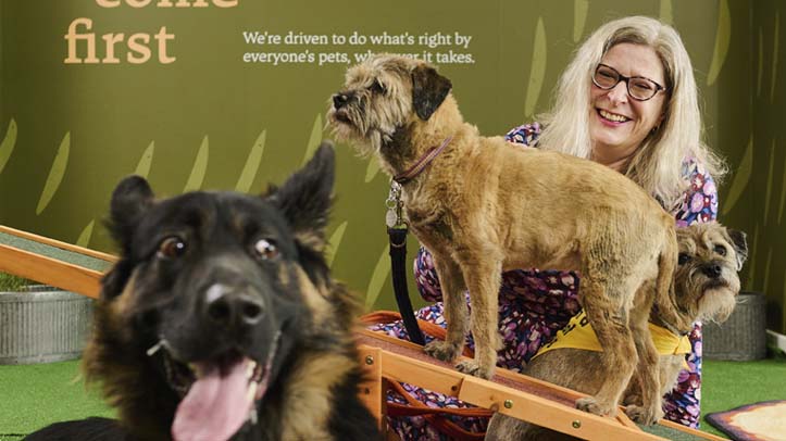Most pet-friendly' office created