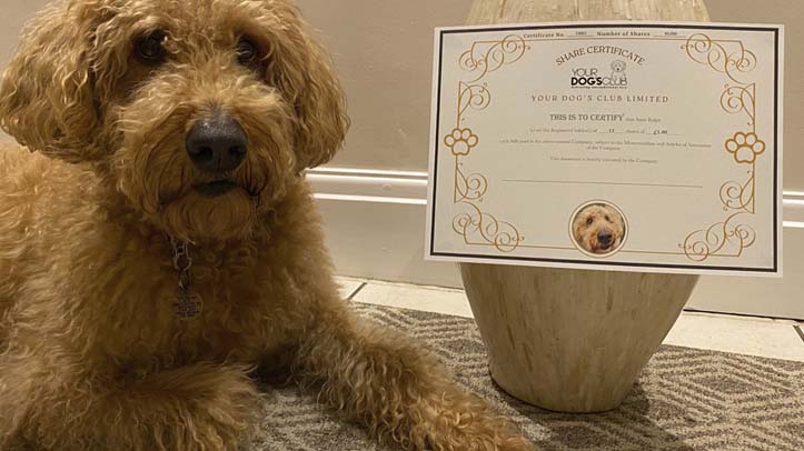 Your Dog's Club seeks investors