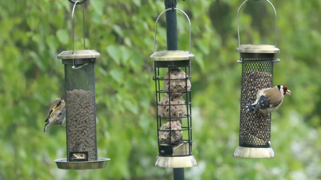 Henry Bell adds to bird feeder range Pet Business World
