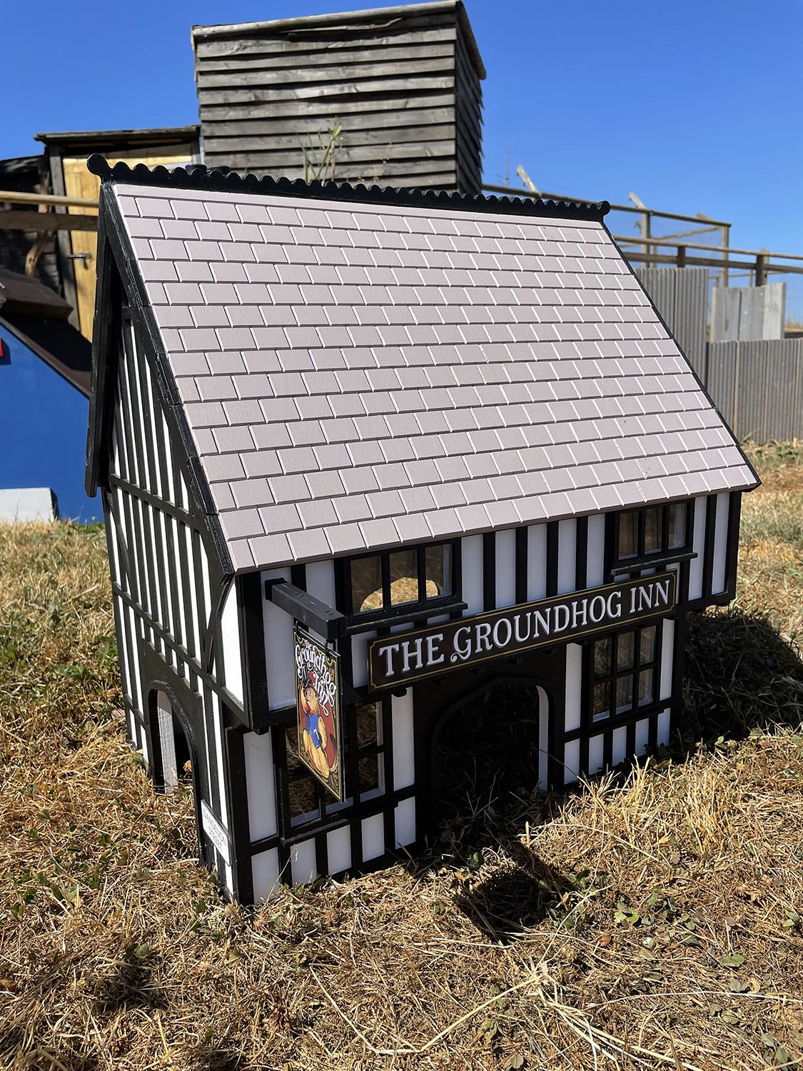 Guinea Pig Village gets a new range of attractions Pet Business World