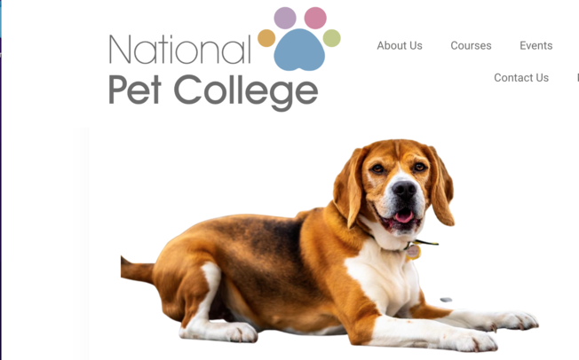 Webinar to help pet trade improve animal welfare | Pet Business World