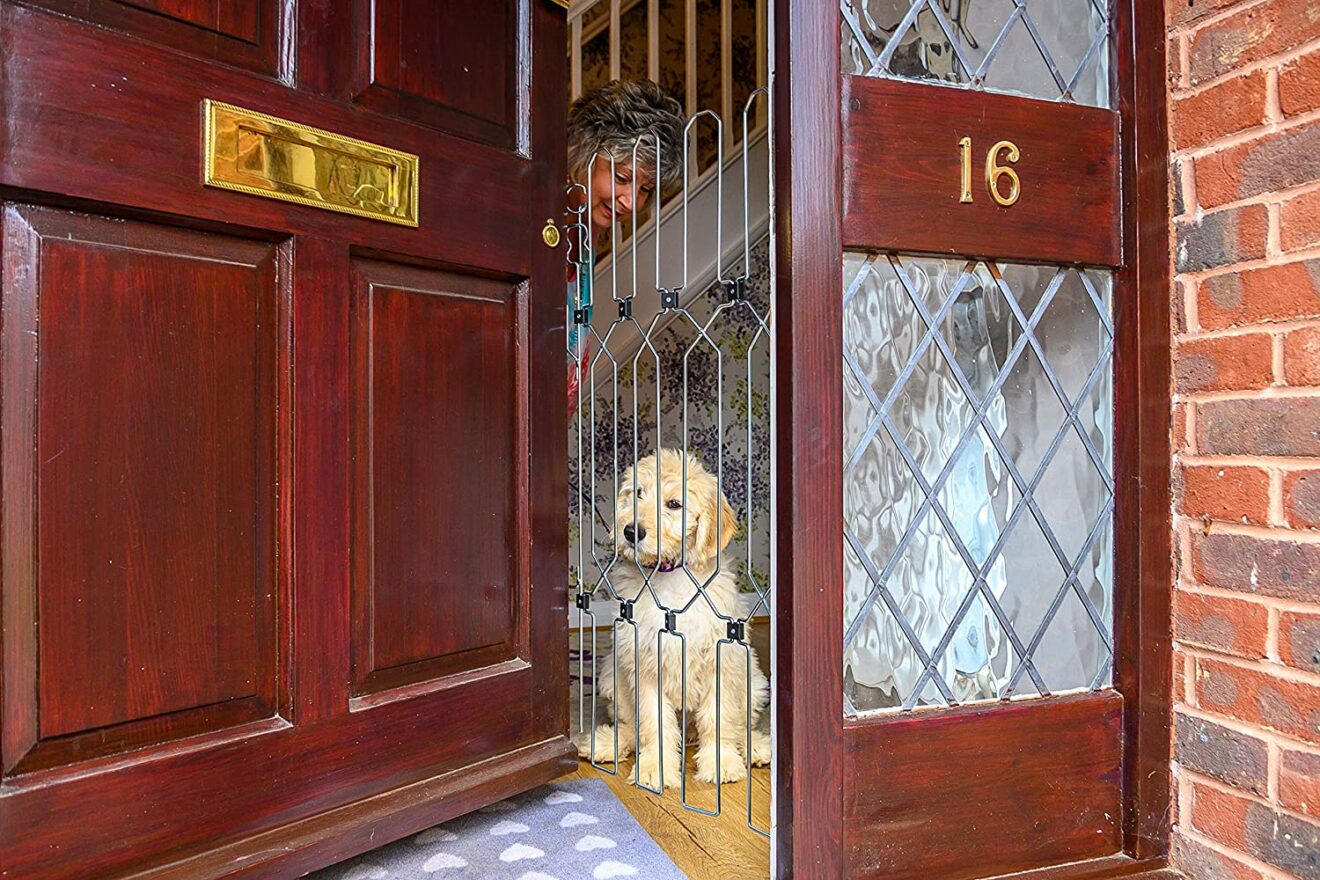 Dog safety gate seeks Dragons Den investors tonight Pet Business World