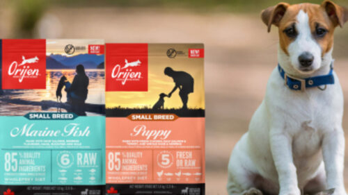 Orijen expands range with small breed recipes | Pet Business World