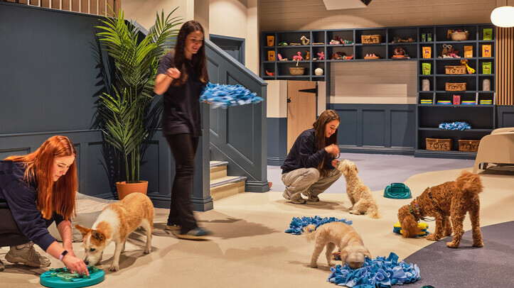 WagWorks daycare club opens second branch