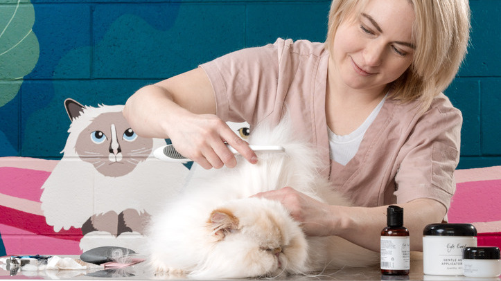 Cat grooming business recognised in awards programme