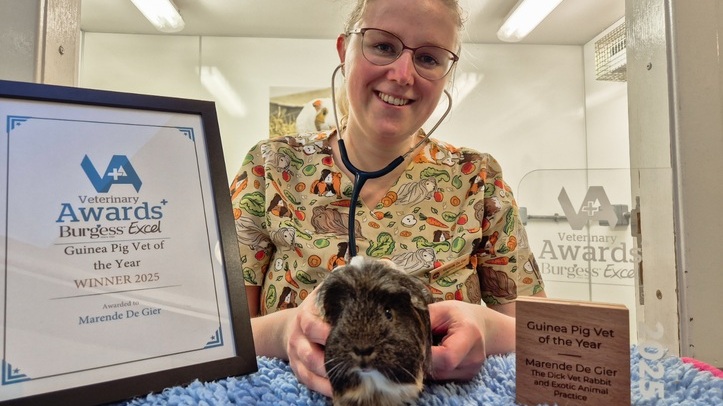 Burgess Excel Vet Awards celebrates clinical excellence