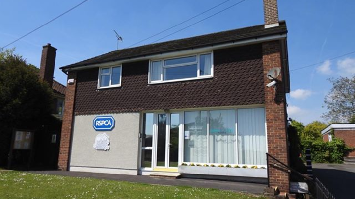 Cattery launches funding appeal due to closure fears