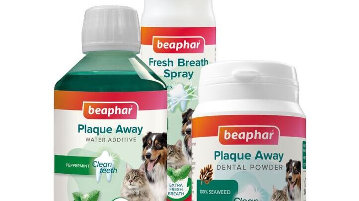 Beaphar refreshes non-brushing dental range