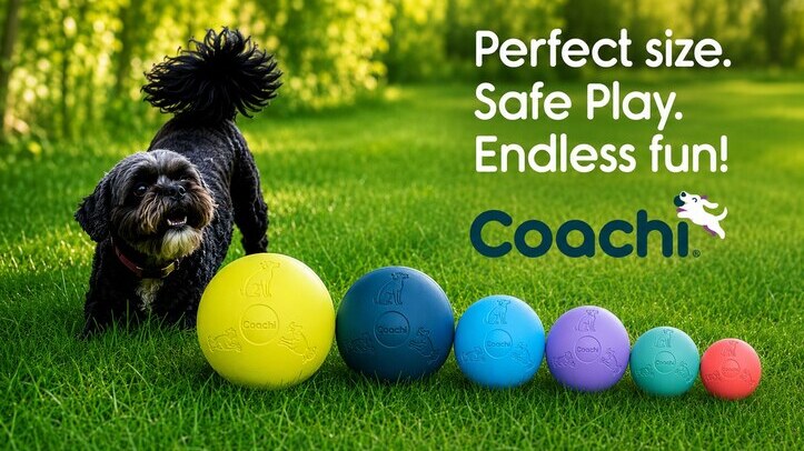 Boomi Ball relaunched under the Coachi brand