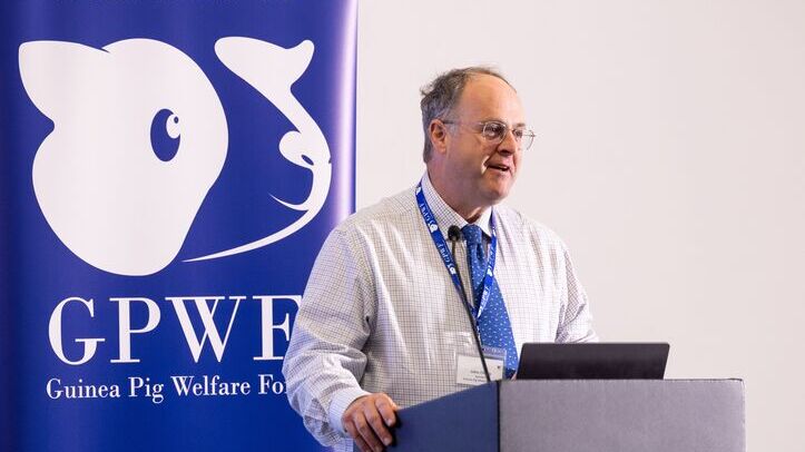Guinea Pig Welfare Forum returns for third year