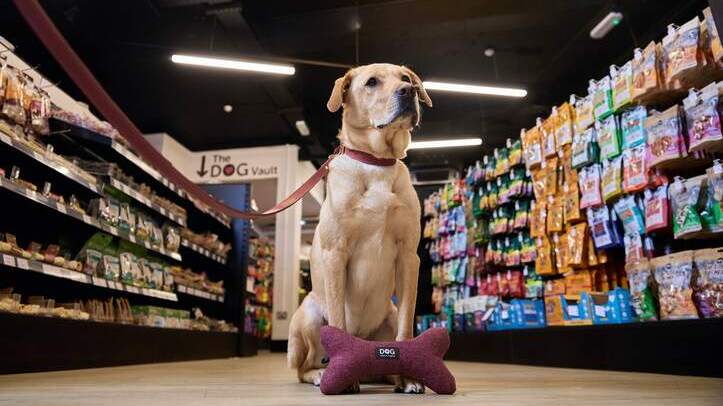 DOG and Just for Pets to champion British manufacturers