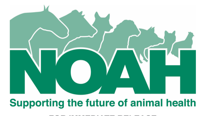 NOAH announces new board leadership