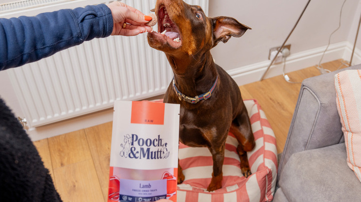 Pooch & Mutt enters freeze-dried category