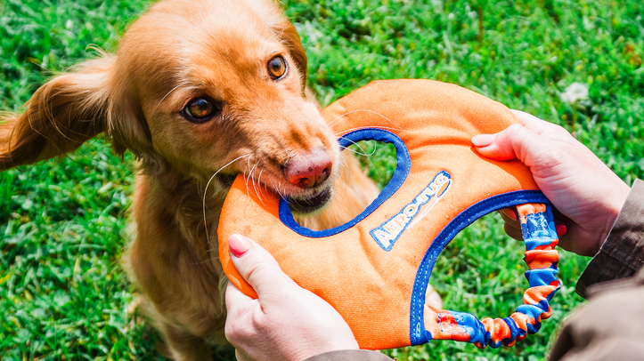 Tug-E-Nuff launches multi-purpose frisbee toy