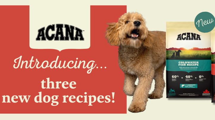 New Acana recipes available to UK stockists