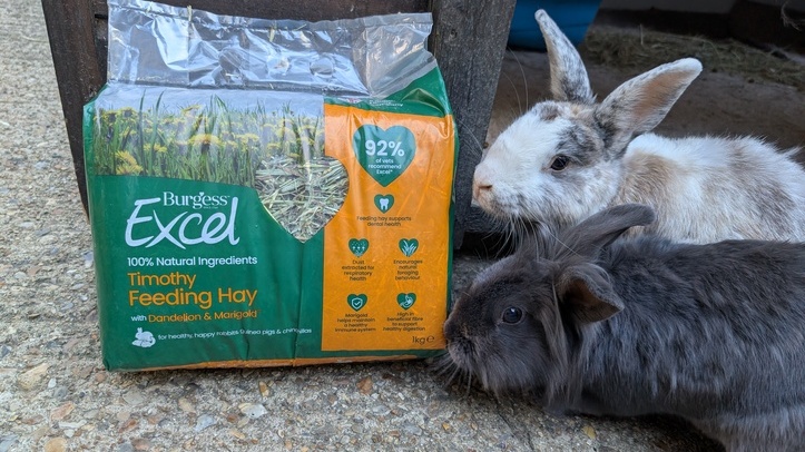 Burgess Excel supports 20 rabbit rescues