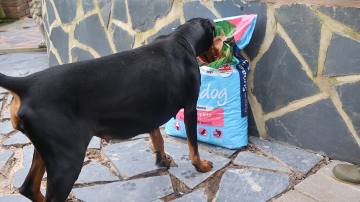Burgess Pet Care names charity recipients