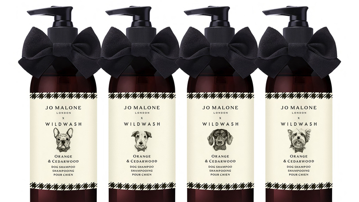 Jo Malone enters pet care sector with WildWash collaboration