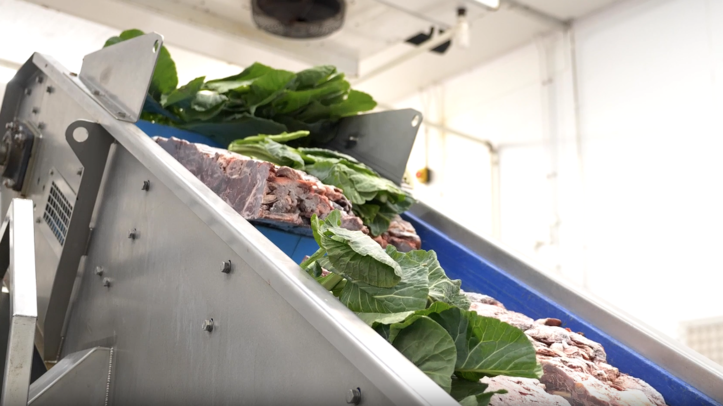 Sponsored post: Natural Dog Food Direct announces major investment