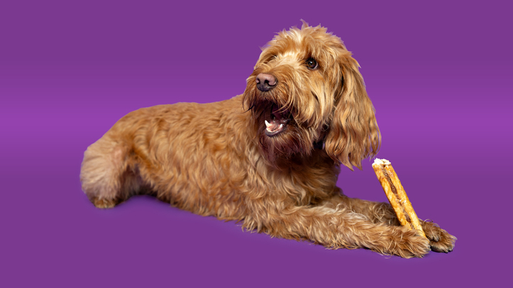 Pedigree Wholesale expands Pawtential chew range