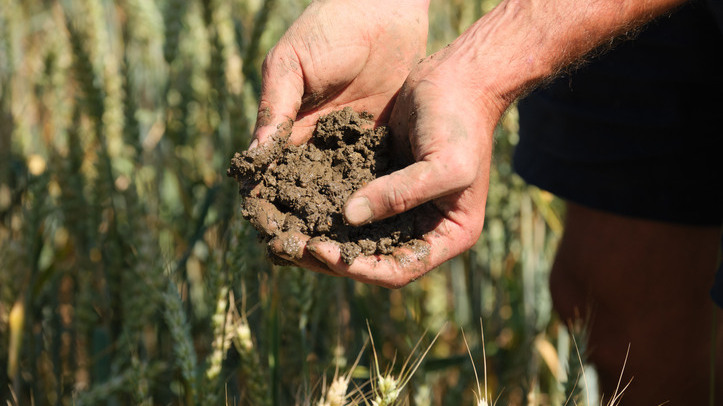 Purina backs regenerative farming practices