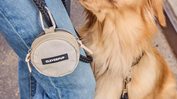 The PetFellas brings US brand Cleverpup to the UK